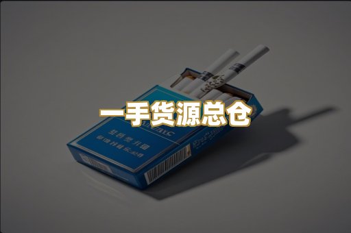 一手货源总仓